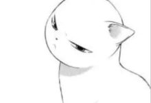 【風炫君說】哪個寵物適合風炫君呢？-頭條楓林網