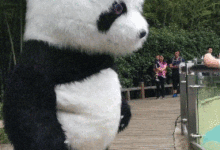 大哥，我就想知道沒有冰的時候你還能漂移進去不-頭條楓林網