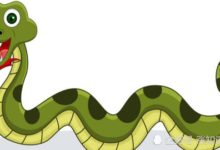 原來遠古的蛇長這樣？那時候的它與現在的它差別很大-頭條楓林網