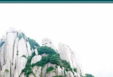 資本涌動！白茶的水究竟有多深?（愛喝茶必看）-頭條楓林網