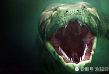 世界上最長的蟒蛇，長度與7層樓等高，可以瞬間勒死成年水牛-頭條楓林網