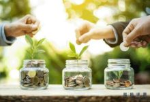 藍莓評測 | 雞蛋還能放在哪些籃子裡？18家眾籌平臺大評測-頭條楓林網