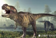 外星人早就來過了地球？這具恐龍屍骨或告訴我們一切-頭條楓林網