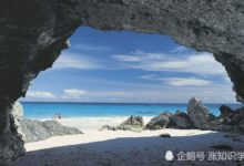 尋寶尋到一個大傢伙？或許百慕大的海底有著奇怪生物-頭條楓林網