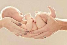 泰國試管嬰兒期間，吃什麼提高成功率-頭條楓林網