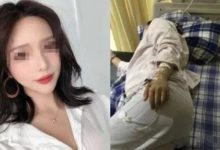網紅遛狗毆打孕婦:你養狗的方式,暴露了你的素質-頭條楓林網