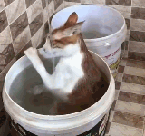 怎麼回事？是我的打開方式不對嗎？-頭條楓林網