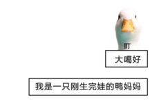 做鴨，好累！-頭條楓林網