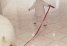 孩子遛狗不成功就開始哭泣，薩摩耶後來做的舉動真的超貼心-頭條楓林網