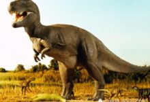 地球在未來會完全陷入黑暗之中？所有生物或將遭受滅頂之災-頭條楓林網