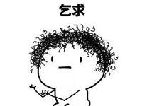 主人撿回一隻大黃狗，狗子每天早出晚歸，發現原因後好笑又感動！-頭條楓林網