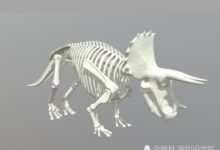 恐龍骸骨進一步證實：2億年前可能有外星生物來過地球-頭條楓林網