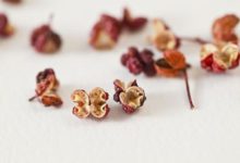 花椒竟有如此功效！營養專家：這樣用花椒，70歲也不長白頭髮！-頭條楓林網