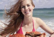 孕婦到底能不能吃螃蟹？醫生：萬萬使不得，有流產的風險-頭條楓林網