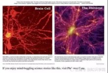 宇宙與人腦非常的相似？這個大世界其實是由無數個小世界組成-頭條楓林網