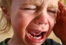 訓練自閉症兒童表達和理解感情的小方法-頭條楓林網