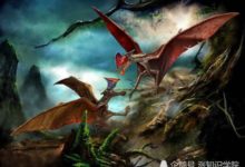 滅絕的動物生前是吃什麼的，科學家要如何檢測出來？-頭條楓林網