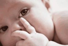 寶寶不愛喝奶? 那你一定要知道這3道輔食, 新手媽媽學起來-頭條楓林網