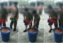 中南海恐懼取消最重要項目 學生軍訓受罰吃泔水引熱議-頭條楓林網