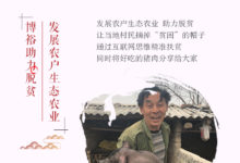 當養豬行業遇見精準扶貧-頭條楓林網