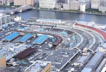 築地市場終於要搬了！當地人擔心銀座變成老鼠亂竄的大街…-頭條楓林網