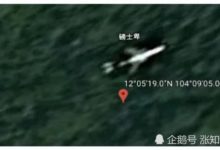 MH370在密林中被找到，這是一個為了炒作而編造的假新聞嗎？-頭條楓林網