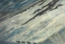 微軟的資料中心下海游泳了，看！旁邊還有魚-頭條楓林網