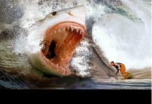 史前五大巨獸，只有最後一種存活至今，其他的都已經滅絕！-頭條楓林網