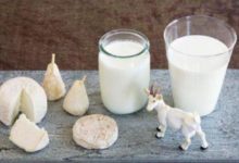 佳貝艾特羊奶粉怎麼樣？-頭條楓林網