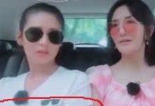 謝娜首次透露雙胞胎女兒長得不一樣，網友稱是試管嬰兒沒錯了-頭條楓林網