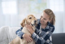 狗狗缺鈣有哪些原因？如何正確給狗狗補鈣？-頭條楓林網