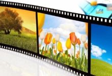 「眾籌」電影真的可以賺錢嗎？是否這只是一場精心謀劃的騙局？-頭條楓林網