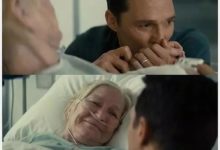 失散兩年的流浪狗姐妹奇蹟相認，本以為會場面失控，可是沒想到...-頭條楓林網