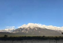 碧桂園：設計師眼裏的世界，竟然是這個樣子？-頭條楓林網