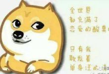 我是一隻散發清香的單身狗-頭條楓林網