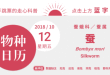 春蠶到死，就吐了一根絲-頭條楓林網