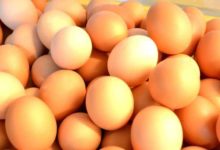 別老炒雞蛋了，換一種吃法，男人的腎寶，女人的補血益氣丸！-頭條楓林網