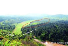 整片的樹木斷裂，這些奇特現象真是因為地外生命造訪？-頭條楓林網