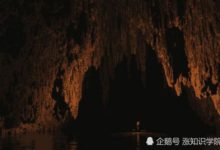 它多次出現在地球上，真實身份引專家猜測，或許很簡單-頭條楓林網