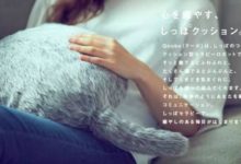 ​日本​推出「無頭貓」，不用鏟屎的那種！還沒上市就已經火了……-頭條楓林網