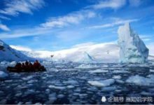 科學家發現的「南極人」到底是什麼？視覺錯覺，還是真實物種-頭條楓林網