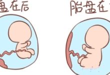 懷孕時，胎盤前壁和後壁有什麼不一樣？-頭條楓林網
