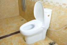 何必赴日背馬桶蓋回來，小鯨洗智慧馬桶蓋 Pro真的不輸它-頭條楓林網