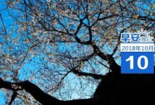 ​早安​渝北 | 全區上半年電子商務交易額實現360億元-頭條楓林網