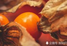 轉基因食品家族又添新成員，被基因「編輯」過的地櫻桃有何特殊-頭條楓林網