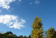 小兒翻身獨坐訓練注意事項-頭條楓林網