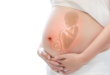 試管嬰兒胚胎移植后需要這樣保胎-頭條楓林網