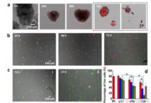 這個設計有助於治療婦女疾病-頭條楓林網