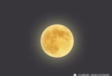 月球是用來監視地球的？科學家解密為何人類不再登上月球-頭條楓林網