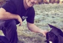 小哥撿回家一隻流浪狗，12年間狗狗竟幫他賺了百萬美金！-頭條楓林網